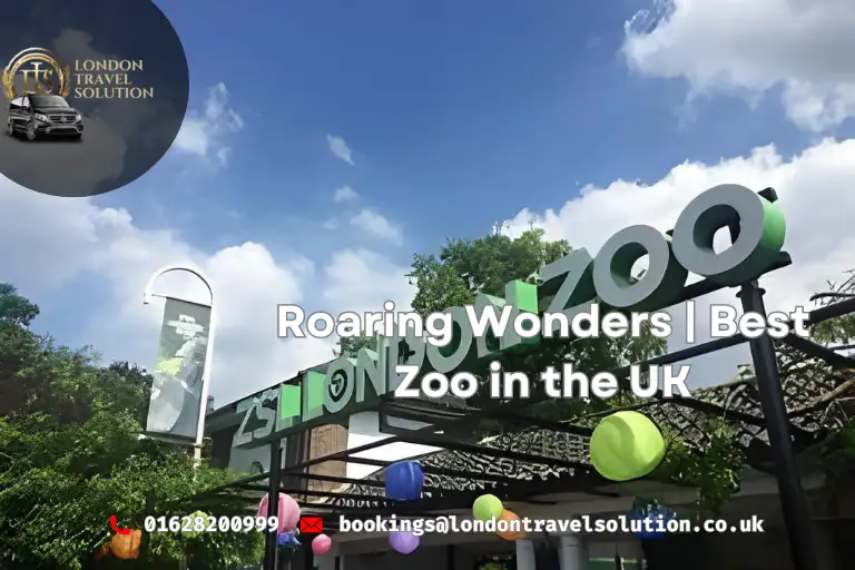 Roaring Wonders Best Zoo in the UK London Travel Solution
